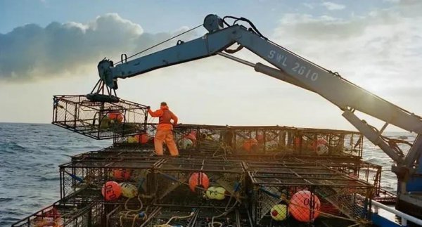 最挣钱没人干的工作