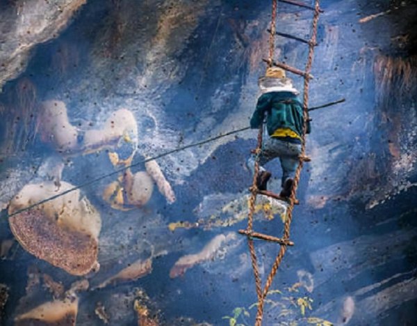 最挣钱没人干的工作