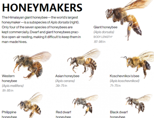 最挣钱没人干的工作