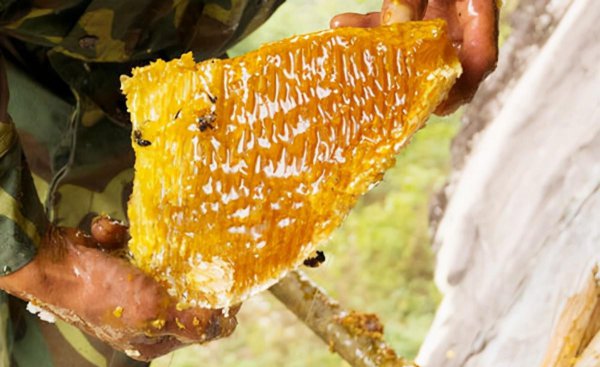 最挣钱没人干的工作