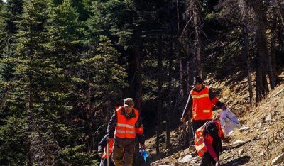 护林员一个月工资多少钱 专职护林员的主要职责是什么