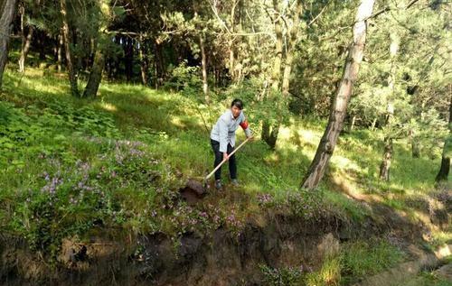 护林员一个月工资多少钱