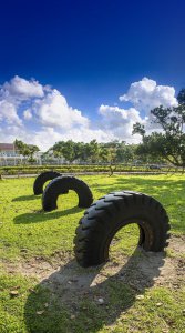 国产轮胎排名前十名品牌 国产轮胎哪个牌子质量好耐磨