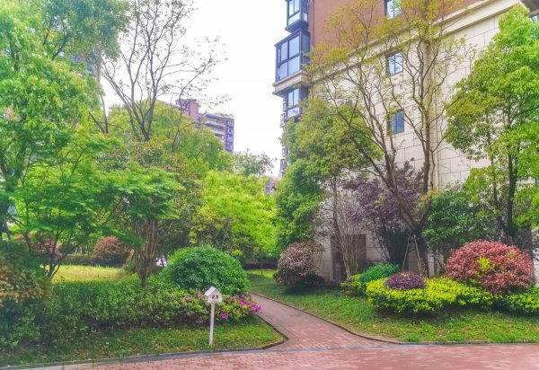 租客应不应该交物业费