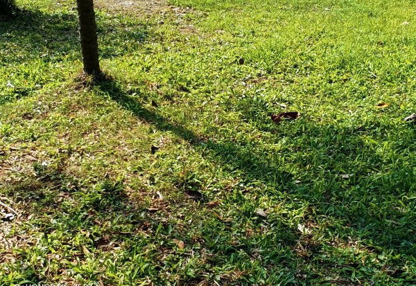 荣耀play6t怎么样