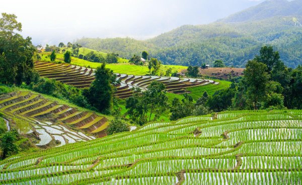 现在农村两个儿子一个宅基地怎么办