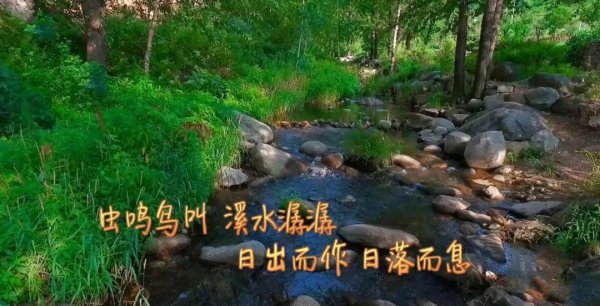 向往的生活导演是谁