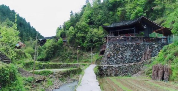 向往的生活导演是谁