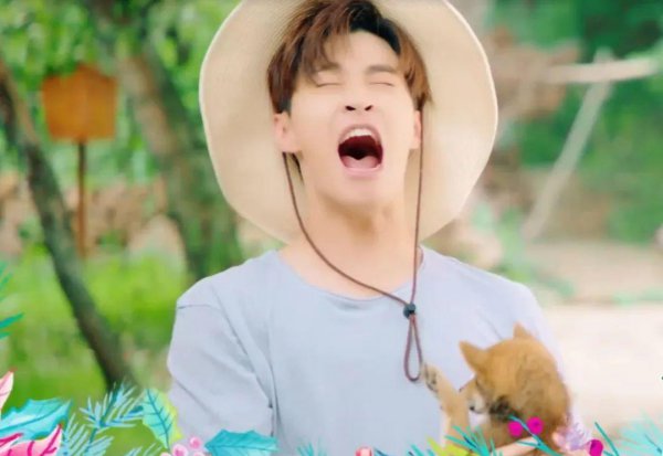 向往的生活导演是谁