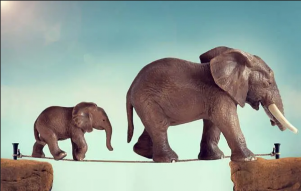 基金经理收入怎么样