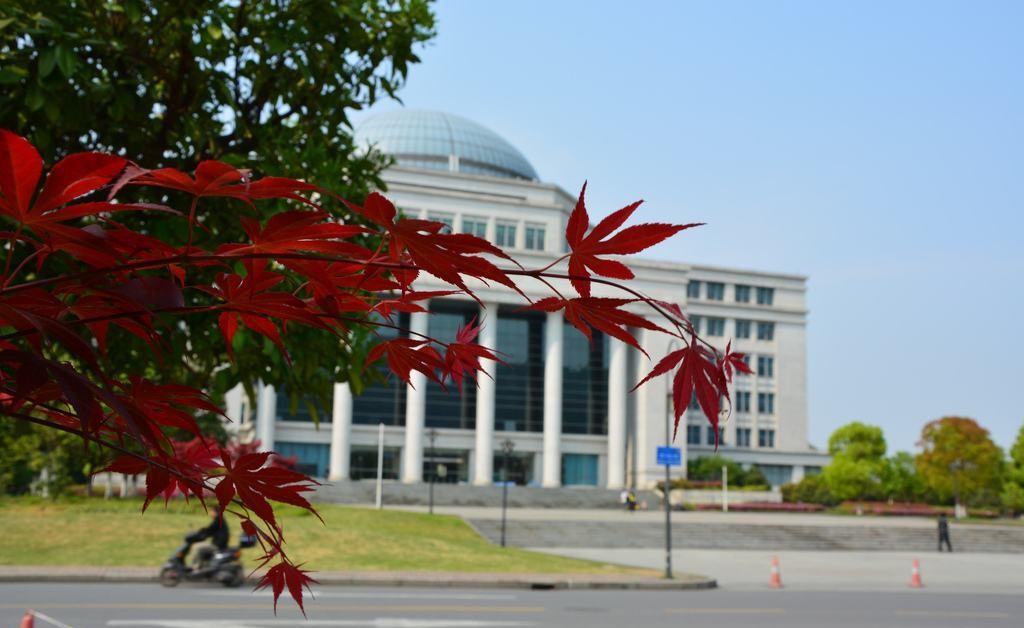 浙江的大学排名一览表