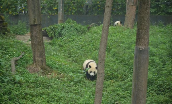 四川省旅游景点排行榜