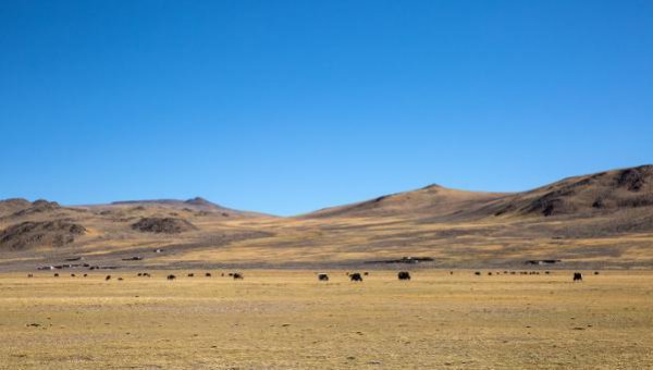 全国面积最大的城市排名