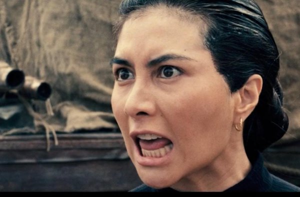 鲍起静个人资料简介