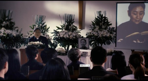 鲍起静个人资料简介