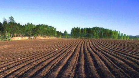 英亩和亩的换算公式