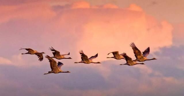 雁城是哪个城市别称