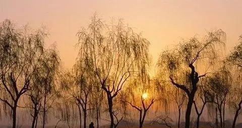 雁城是哪个城市别称