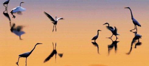 雁城是哪个城市别称