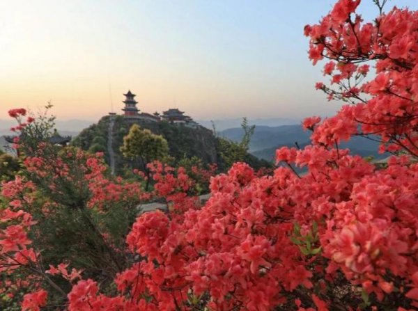 李白写的与酒有关的古诗