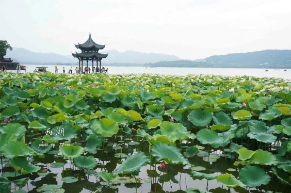 著名景点西湖的历史背景