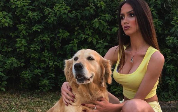 塞尔维亚人口与面积