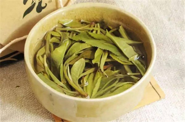 养猫屋里臭气熏天怎么去除