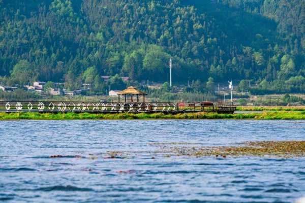 腾冲海拔高度是多少米