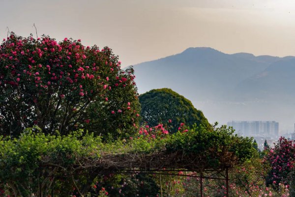 腾冲海拔高度是多少米