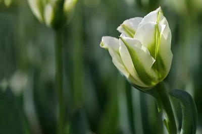 男人多久忘掉一个心动的女人 男人会忘记动过真情的女人吗