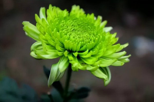 男人多久忘掉一个心动的女人