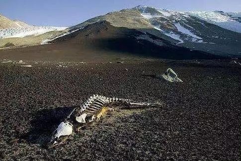 可可西里无人区可以进去吗