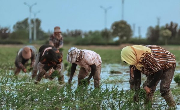 4050社保补贴政策2022还有吗