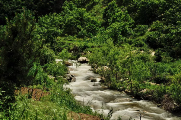 渭南旅游景点有哪些