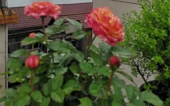 退休后最佳生活安排