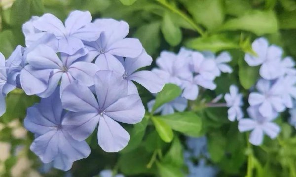 退休后最佳生活安排