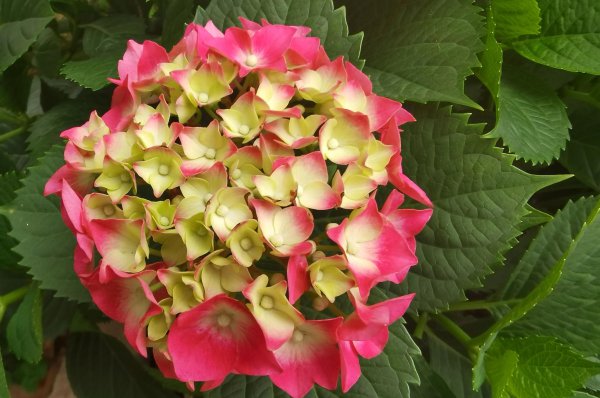 退休后最佳生活安排