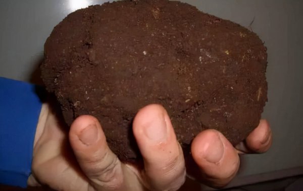 用什么打窝能让大鲤鱼进窝快点