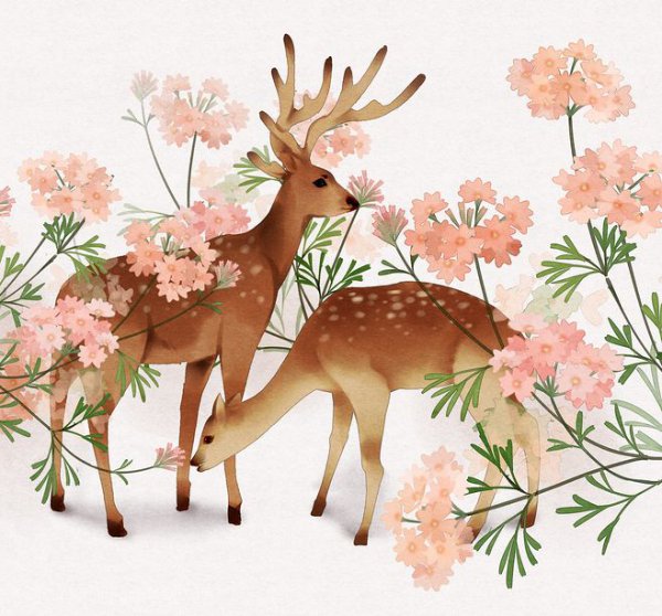 鹿代表什么寓意和象征意义