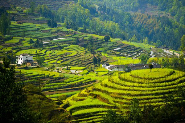 陕北是指哪些地方