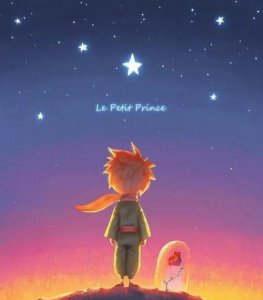 小王子的主要内容是什么 小王子书中各类人物特点分析