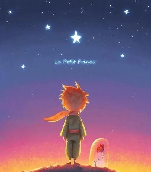 小王子的主要内容是什么