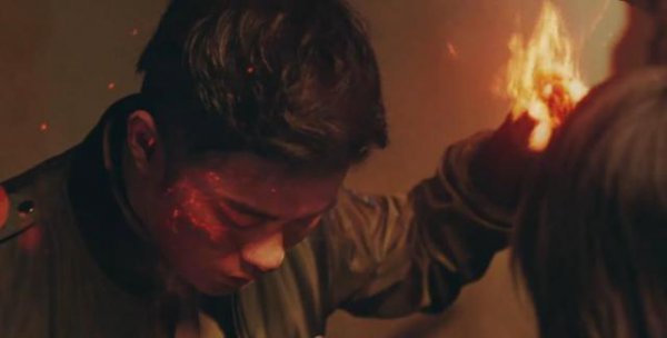 动物管理局陈赫是什么动物