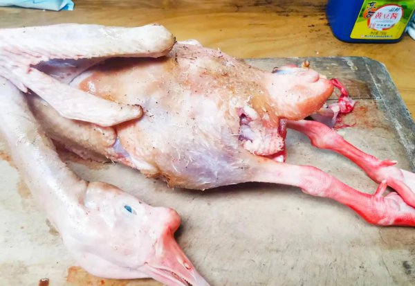 炖大鹅放什么调料好吃窍门