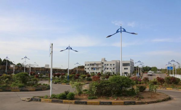 为什么说科目二练得好死得快