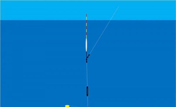 初夏如何钓大鲫鱼