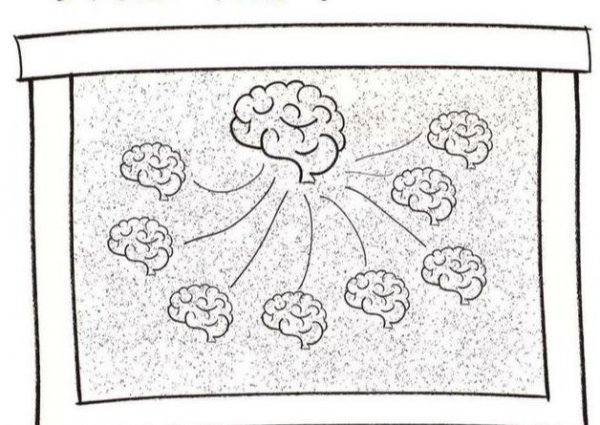 海洋中章鱼有几只触手