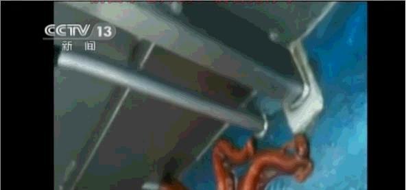 海洋中章鱼有几只触手