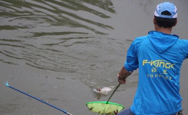 5h和6h的鱼竿有什么区别