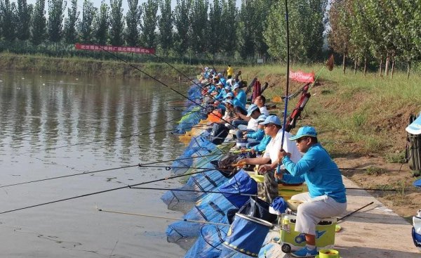 5h和6h的鱼竿有什么区别